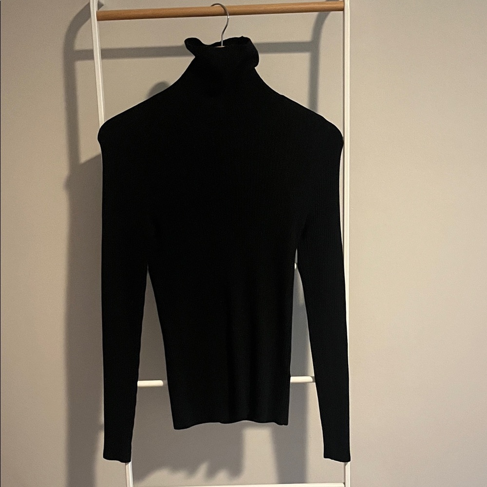 Everlane Black Turtleneck Sweater